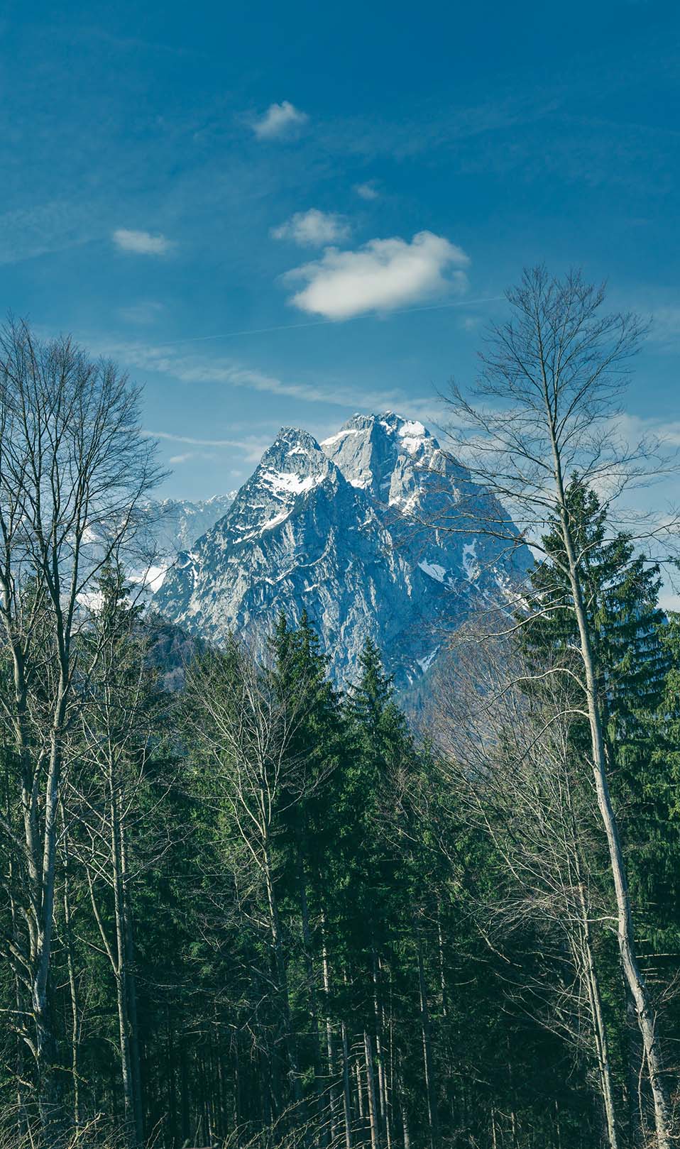 AlpenBayern