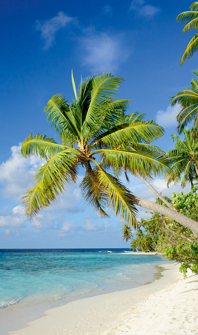 Bahamas