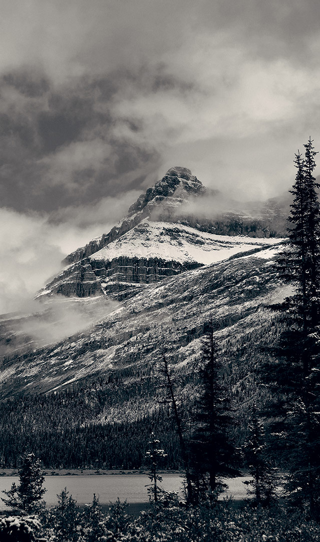 Berge-Wald