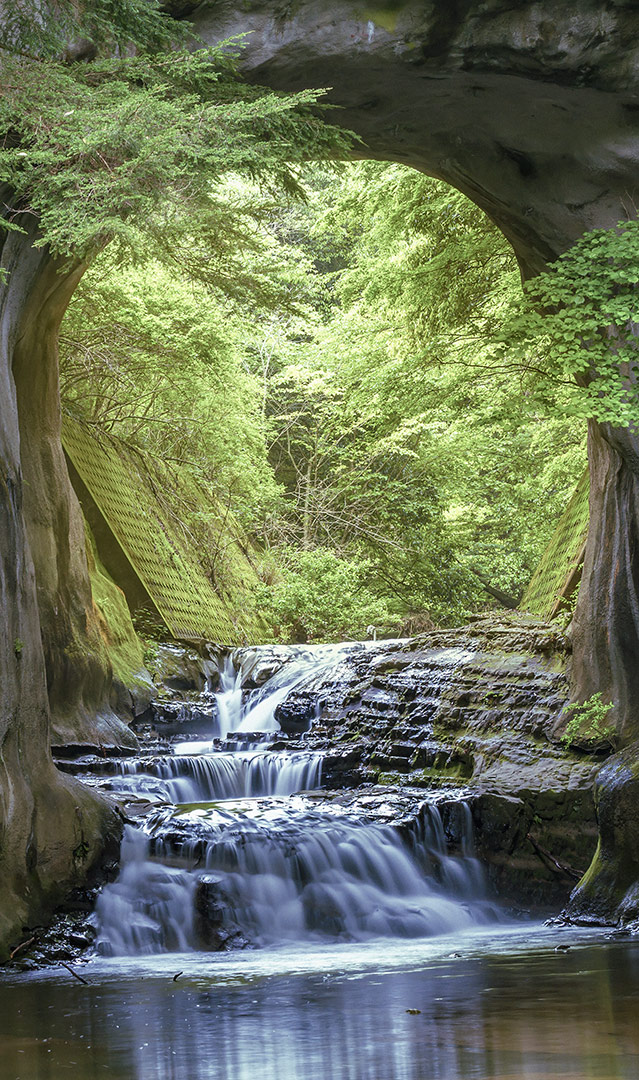 Waldpassage