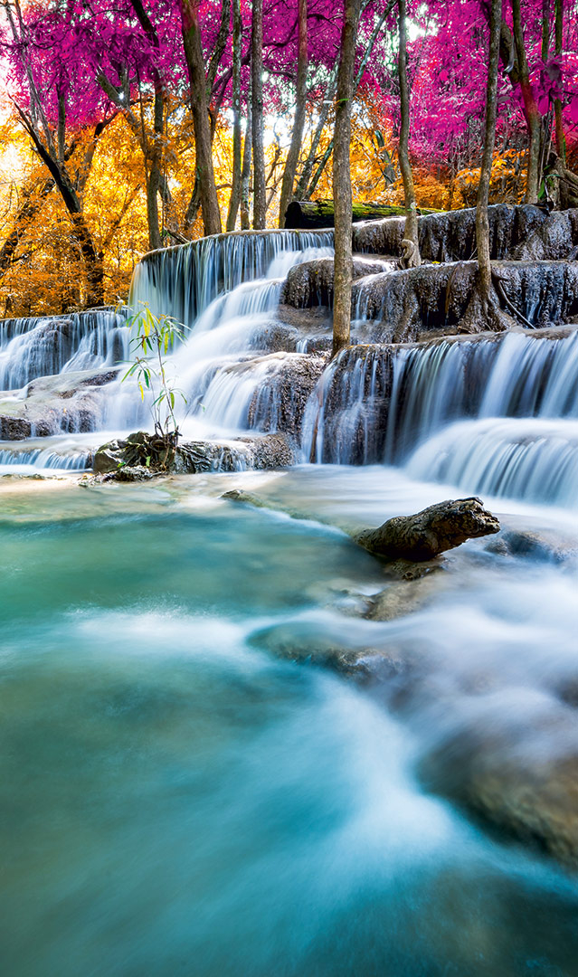 Wasserfall-Wald
